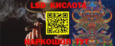jwh Новозыбков