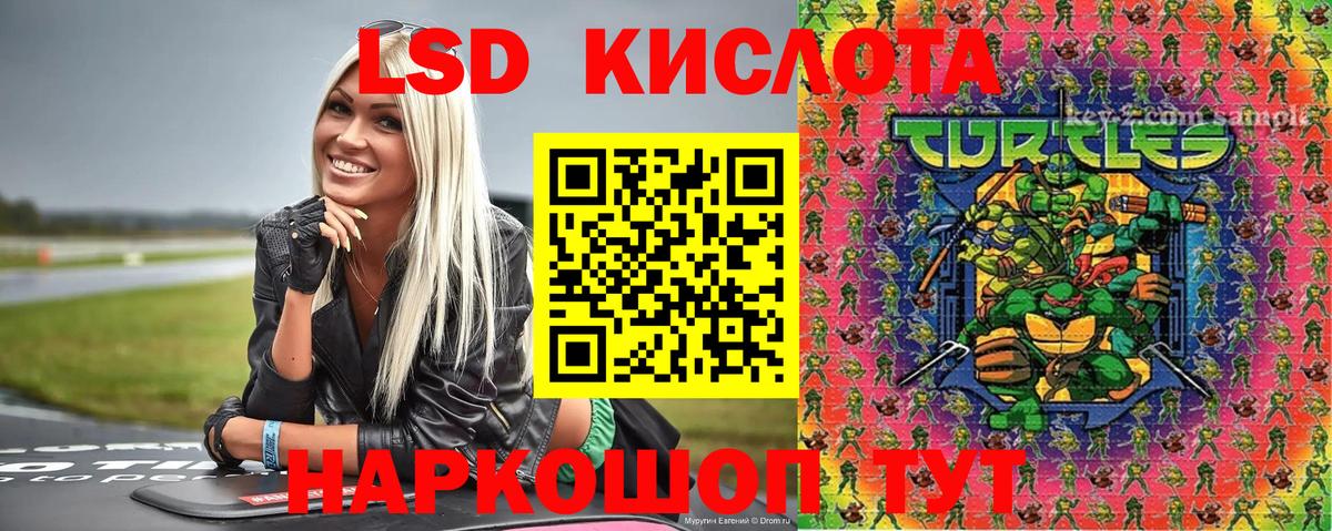 МЕФ Реутов