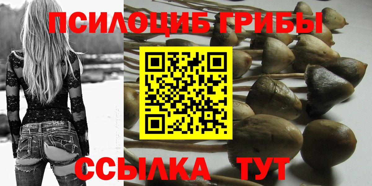 Реутов  Галлюциногенные грибы Cubensis  Вход с VPN 