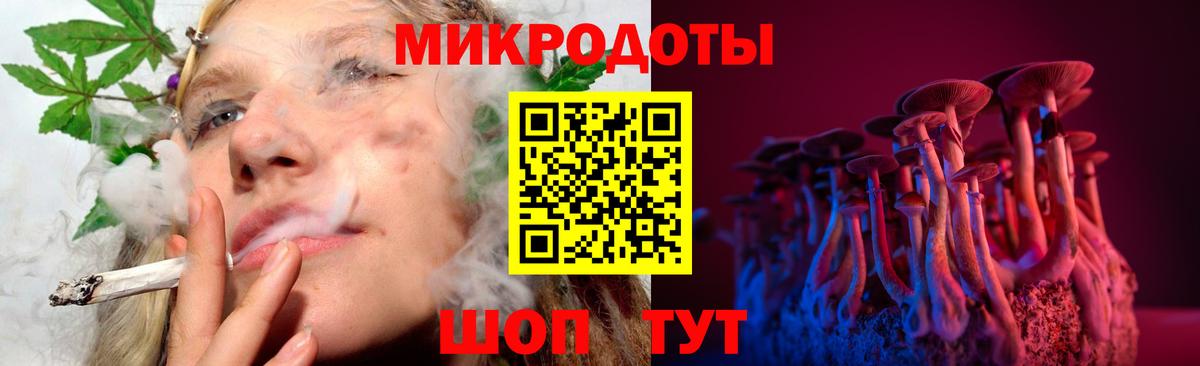 Галлюциногенные грибы Cubensis Реутов